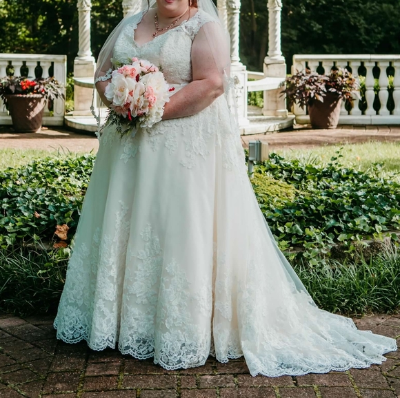 Ivory/Champagne V-neck Scalloped Lace Wedding Dress - Picture 5 of 12